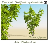 4_Xtra__Bamboos___One_a_Vue_107_1_img