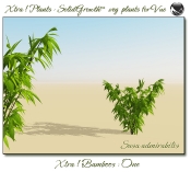 4_Xtra__Bamboos___One_a_Vue_107_5_img