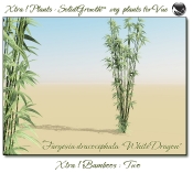 Xtra__Bamboos___Two_Vue_107_4_img