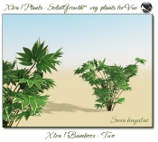 Xtra__Bamboos___Two_Vue_107_6_img