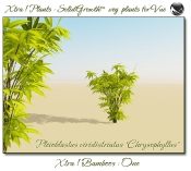 4_Xtra__Bamboos___One_a_Vue_107_4_img
