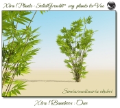 4_Xtra__Bamboos___One_a_Vue_107_7_img