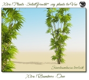 4_Xtra__Bamboos___One_a_Vue_107_8_img