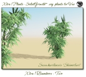 Xtra__Bamboos___Two_Vue_107_7_img